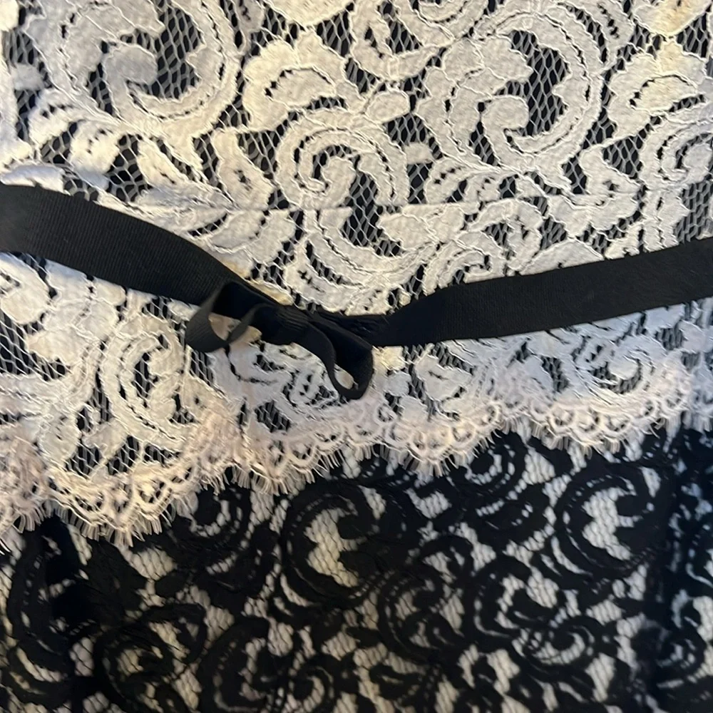 Tadashi Shoji lace cocktail dress - Picture 3 of 11